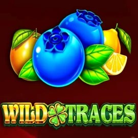 Wild Traces by Amusnet Interactive, showcased at highflybetcasino.eu – game logo